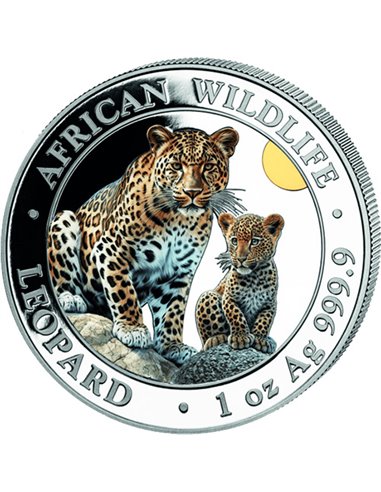 Léopard coloré faune africaine 1 once pièce d'argent 100 shillings Somalie 2024
