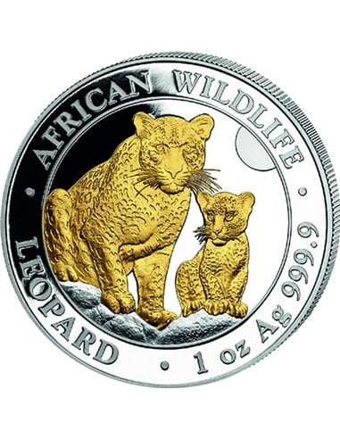 LEOPARD Vergoldete Afrikanische Tierwelt 1 Oz Silber Münze 100 Shilling Somalia 2024