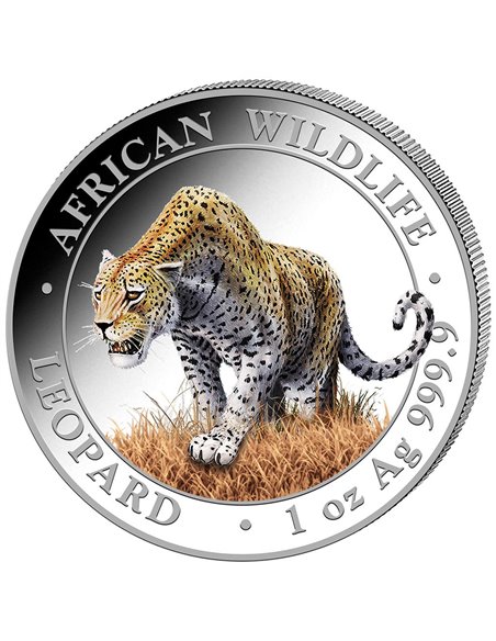 LEOPARD Colored African Wildlife 1 Oz Silver Coin 100 Shillings Som...